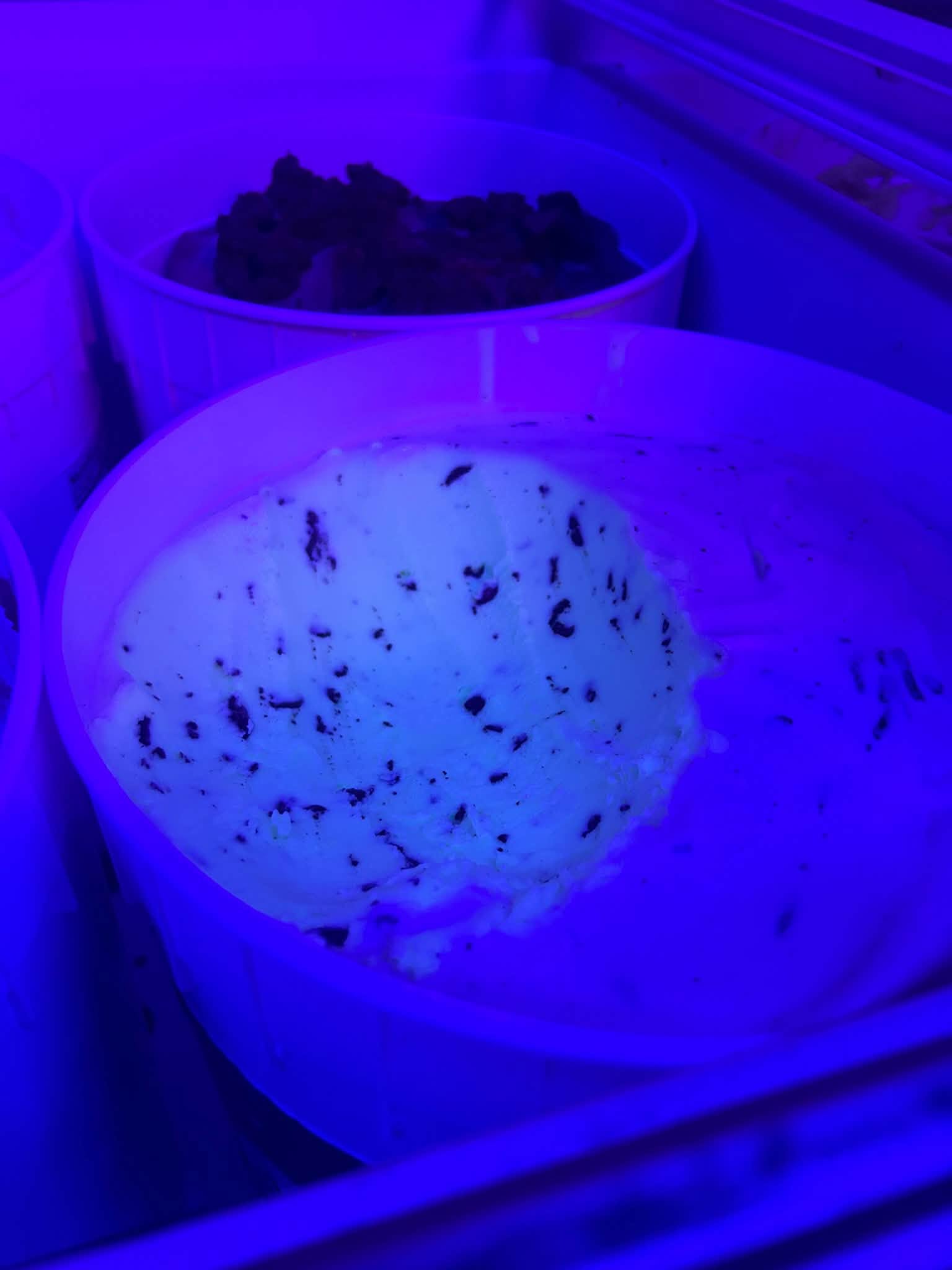A scoop of mint chocolate chip ice cream in a white cup, illuminated by blue light.