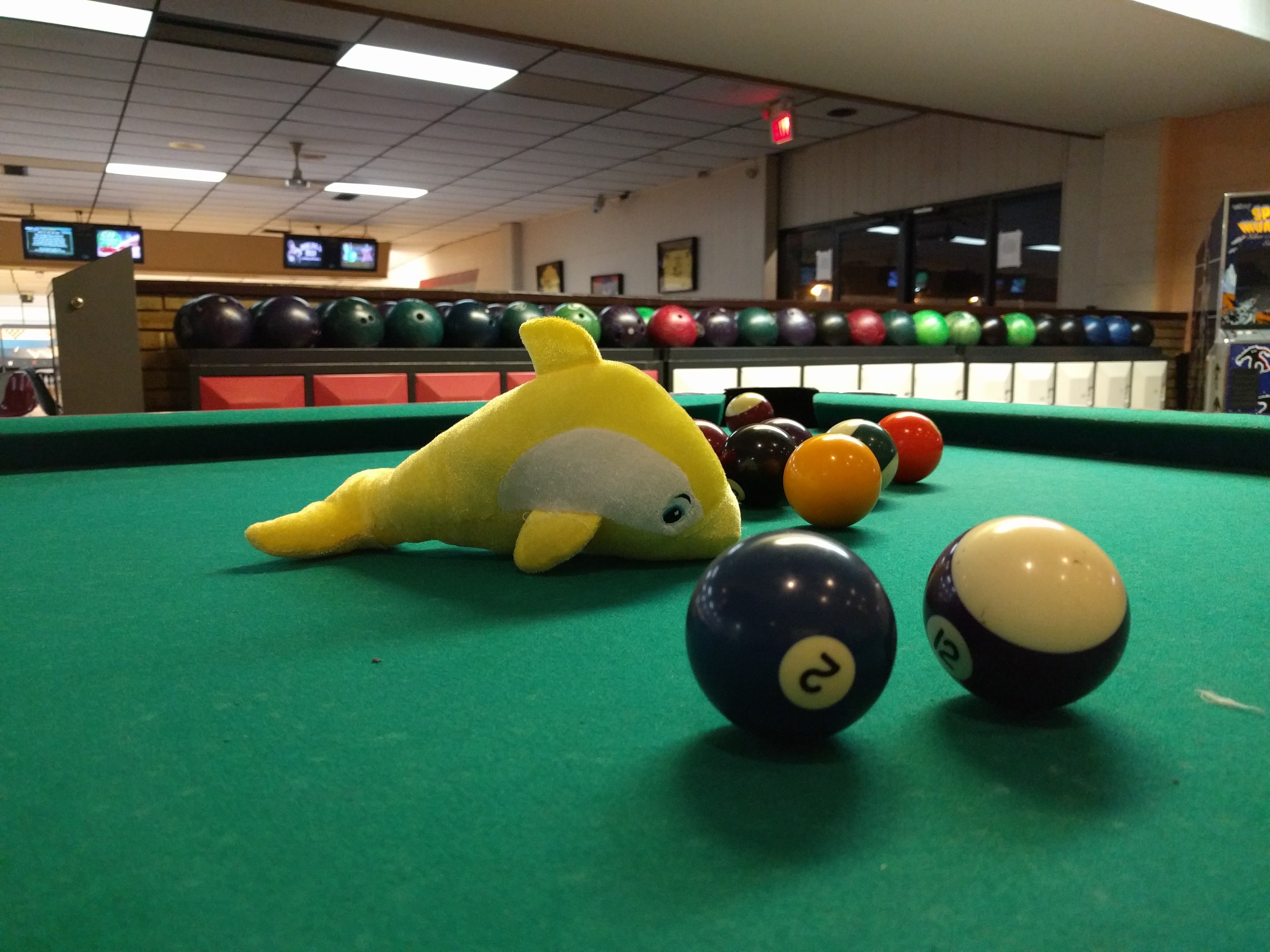 A yellow plush dolphin and billiard balls on a green pool table with bowling ball racks in the background.